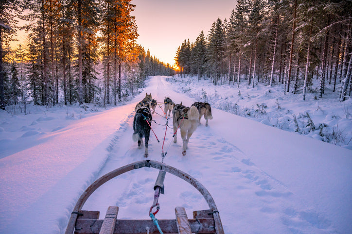 Winter Sports and Bedroom Sports – The Secret to a Smooth Ride